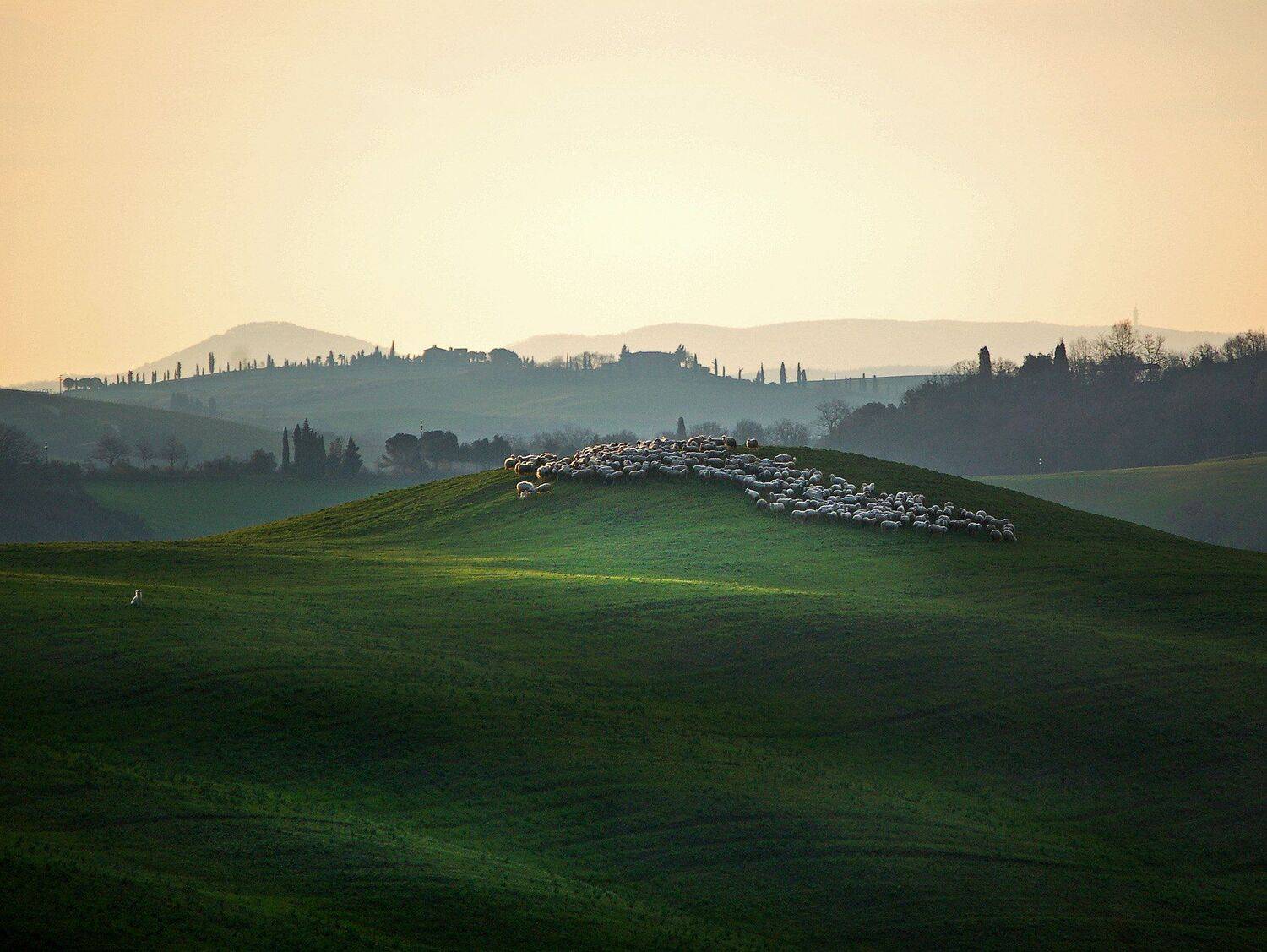 , Исаков Дмитрий