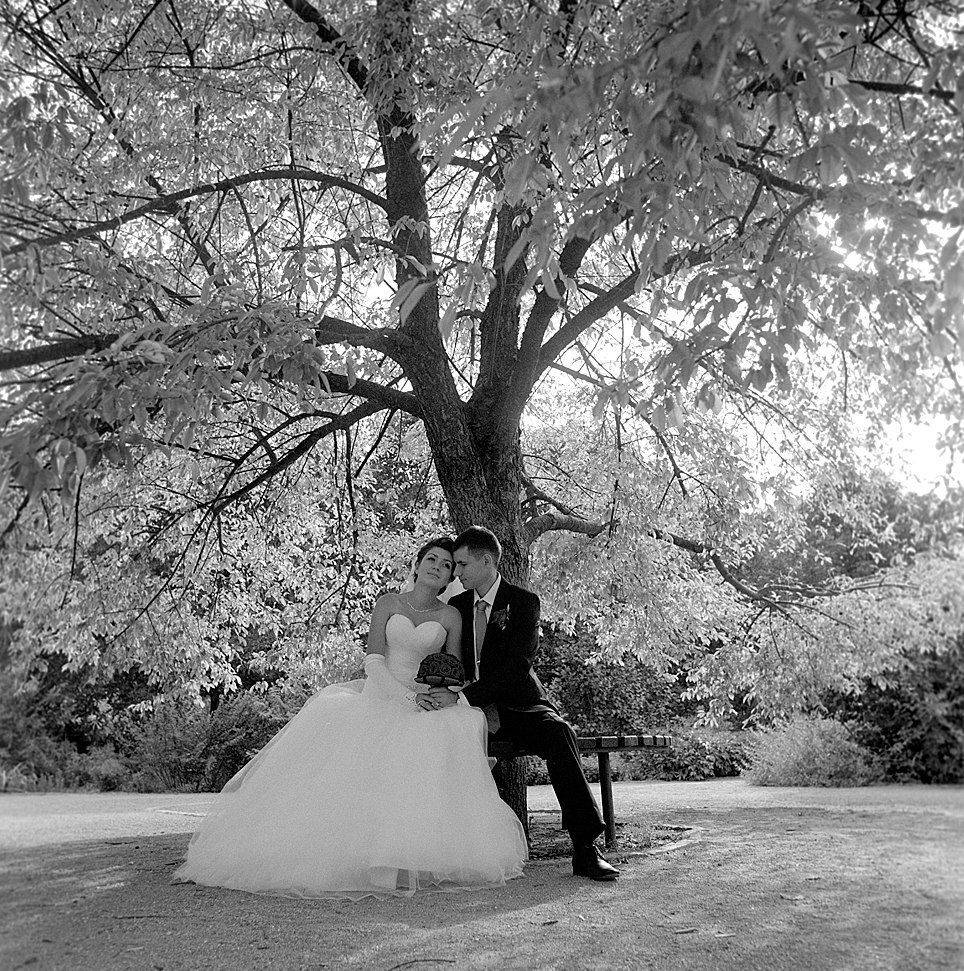 , Франгони Владимир