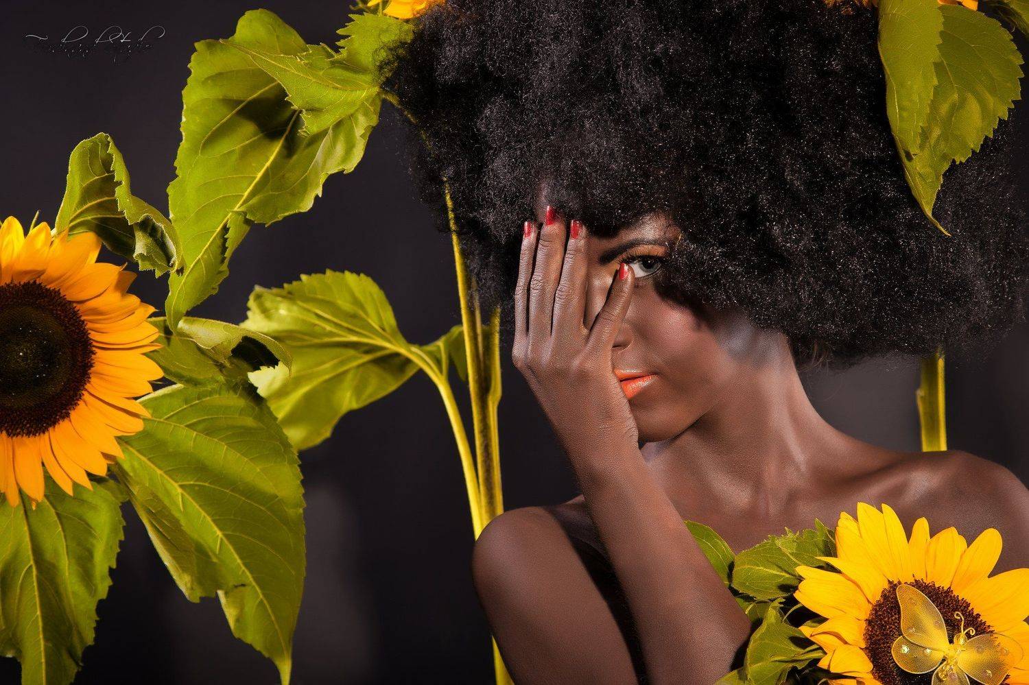 рига,riga,ferdinand studio,negro,girl,flowers,sun,, Ferdinand Studio