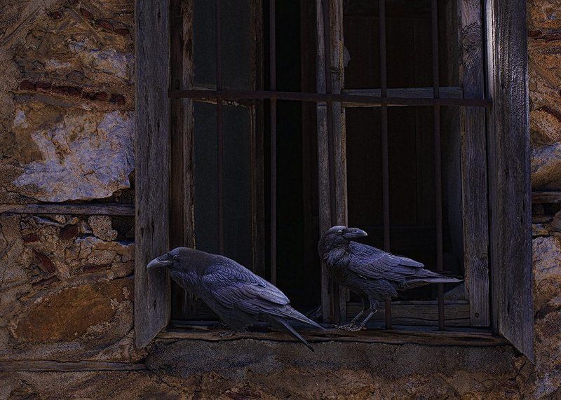 Стражи времени фото превью