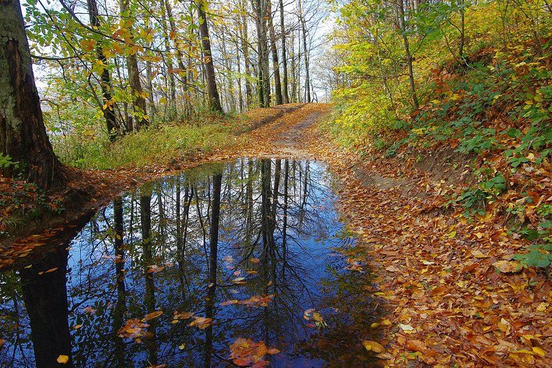 дорогами осени фото превью