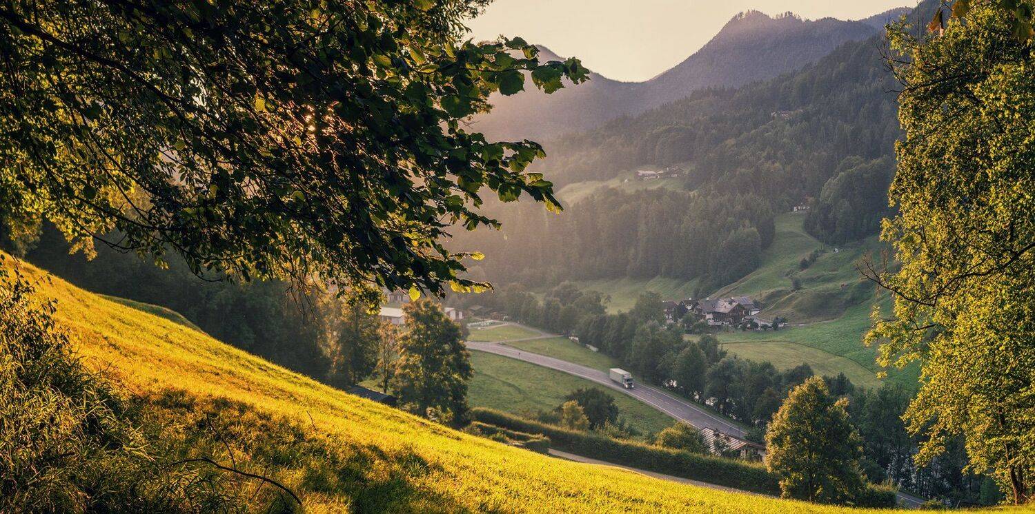 , Игорь Мелекесцев