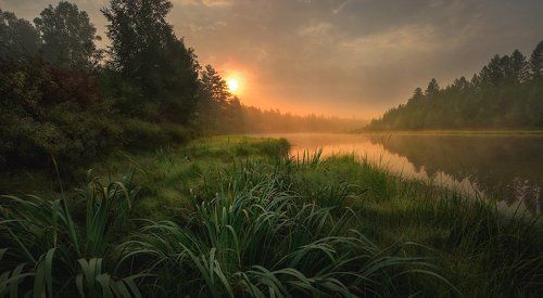 Утро в тайге