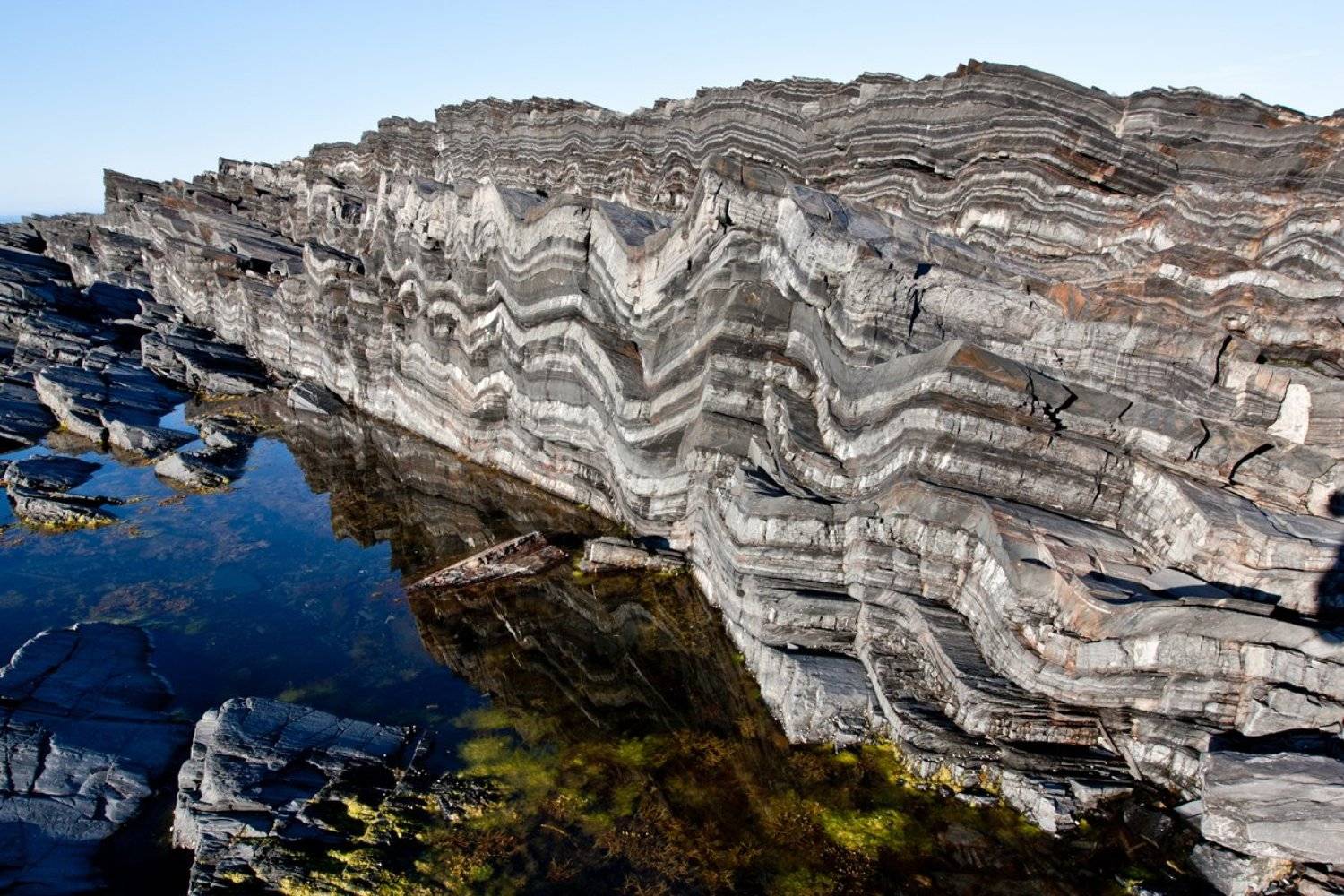 , Макаров Сергей