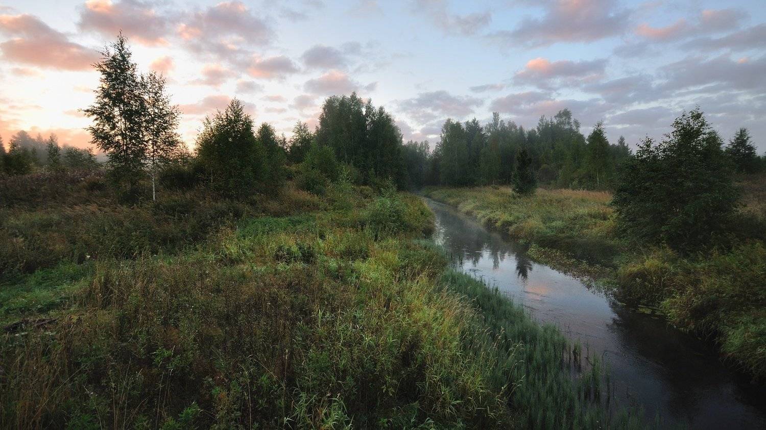 , Андрей Куликов