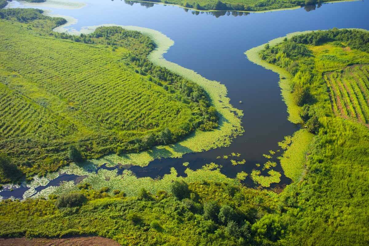Абхазия, озеро, поля, аэро, aerial, Школа Бертрана, school Bertrand, Борис Резванцев