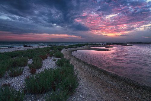 Рассвет на косе