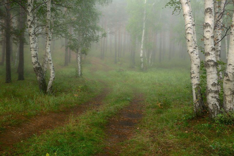 Августовским утром фото превью