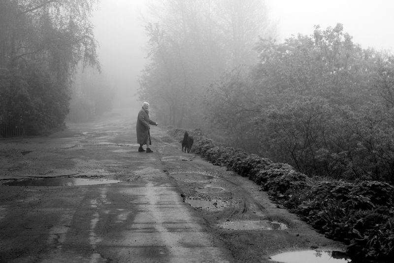 **** фото превью