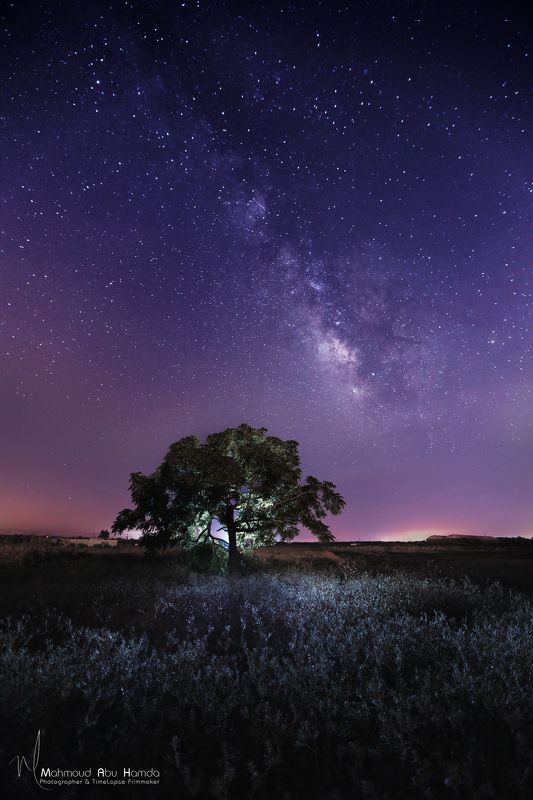 gaza, landscape, sky, cloud, tree, hamda, Galaxy фото превью