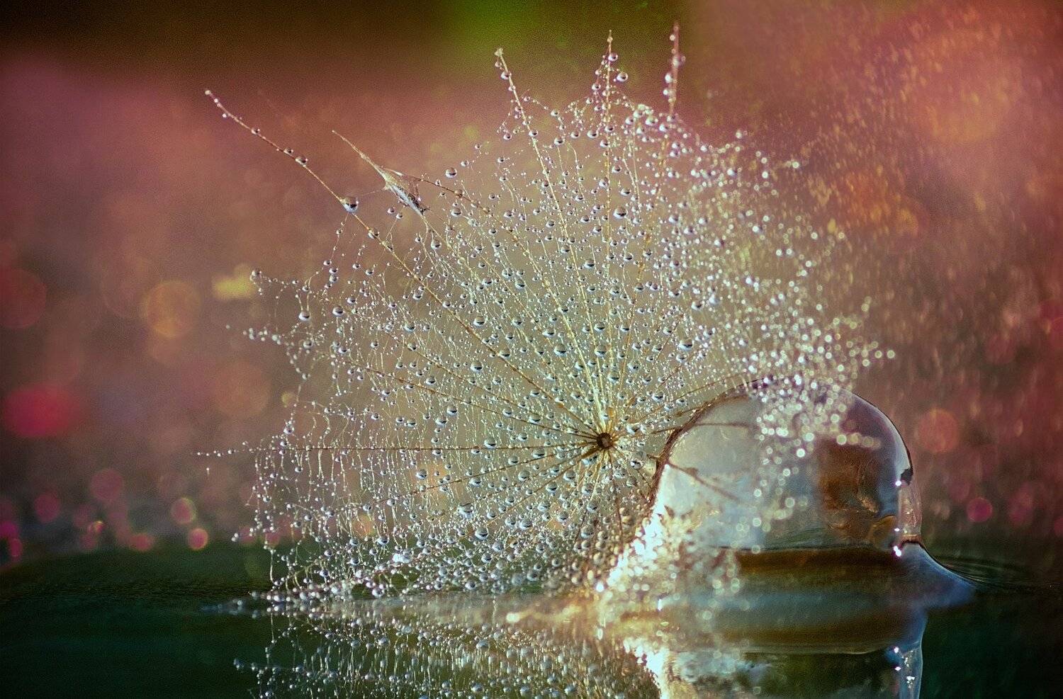 , Таня  Маркова