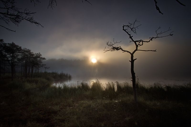 Восход солнца... фото превью