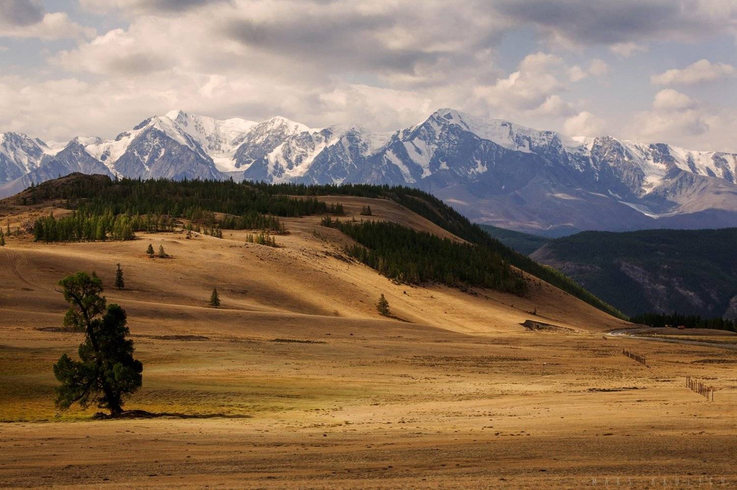 Алтай, Россия, Северо-чуйский хребет, Сибирь, Акулич Макс