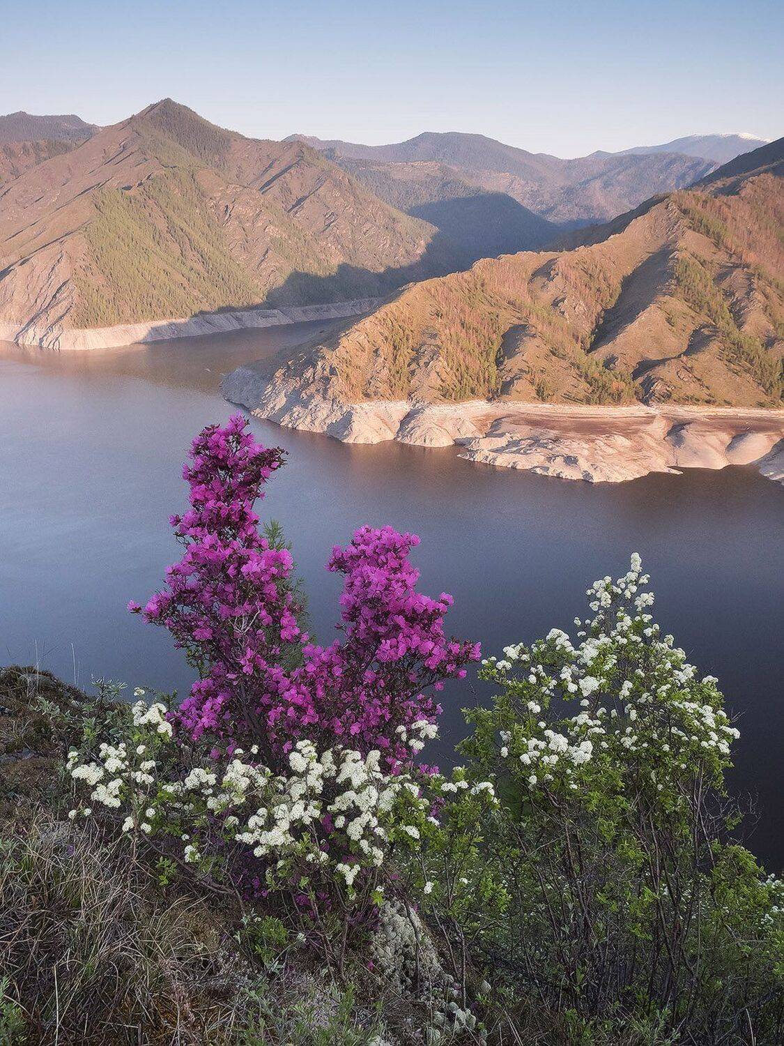 , Лещёнок Александр