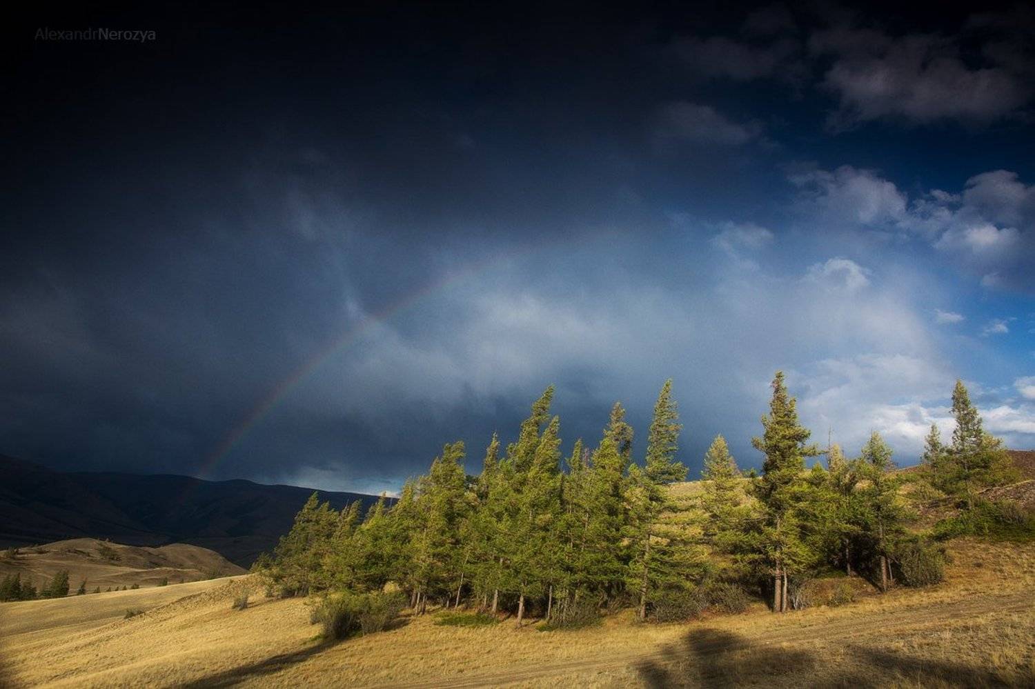 Altai, Altay, Landscape, Nature, Rainbow, Siberia, Sky, Travel, Алтай, Лес, Непогода, Пейзаж, Погода, Природа, Радуга, Сибирь, Тучи, Александр 'Horimono' Нерозя