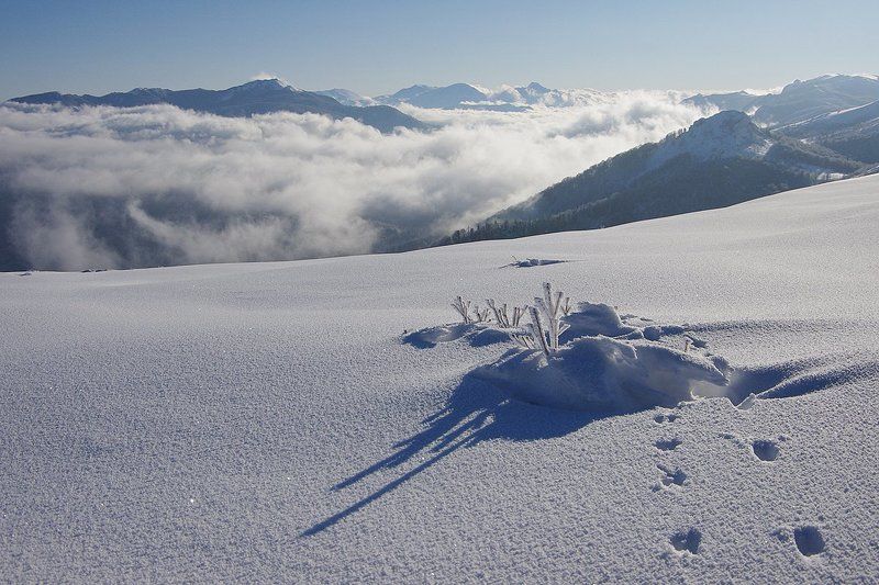 зимняя подборка фото превью