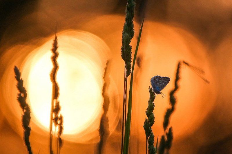 Угасание дня. фото превью