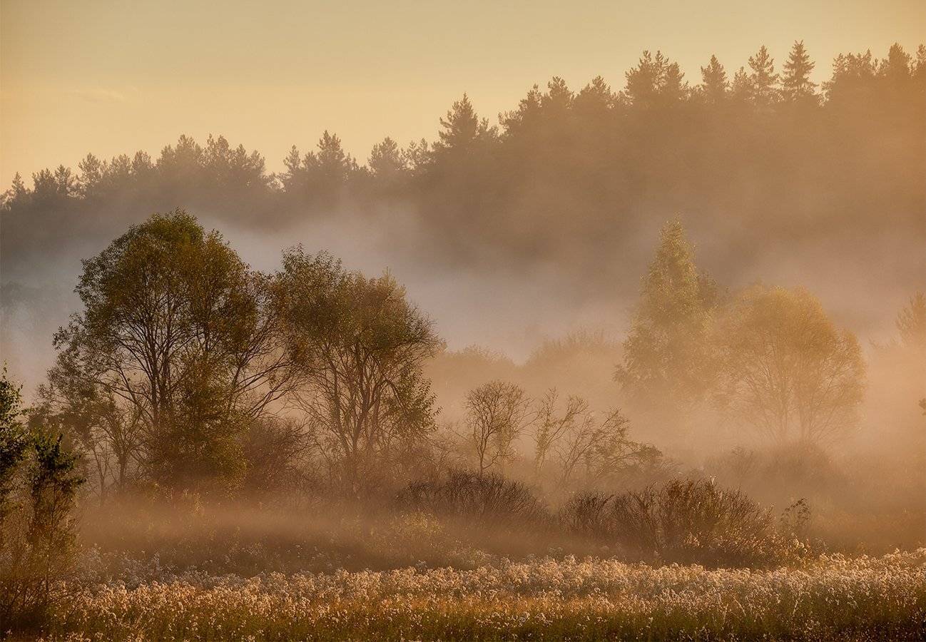 , Владимир Перепечаев