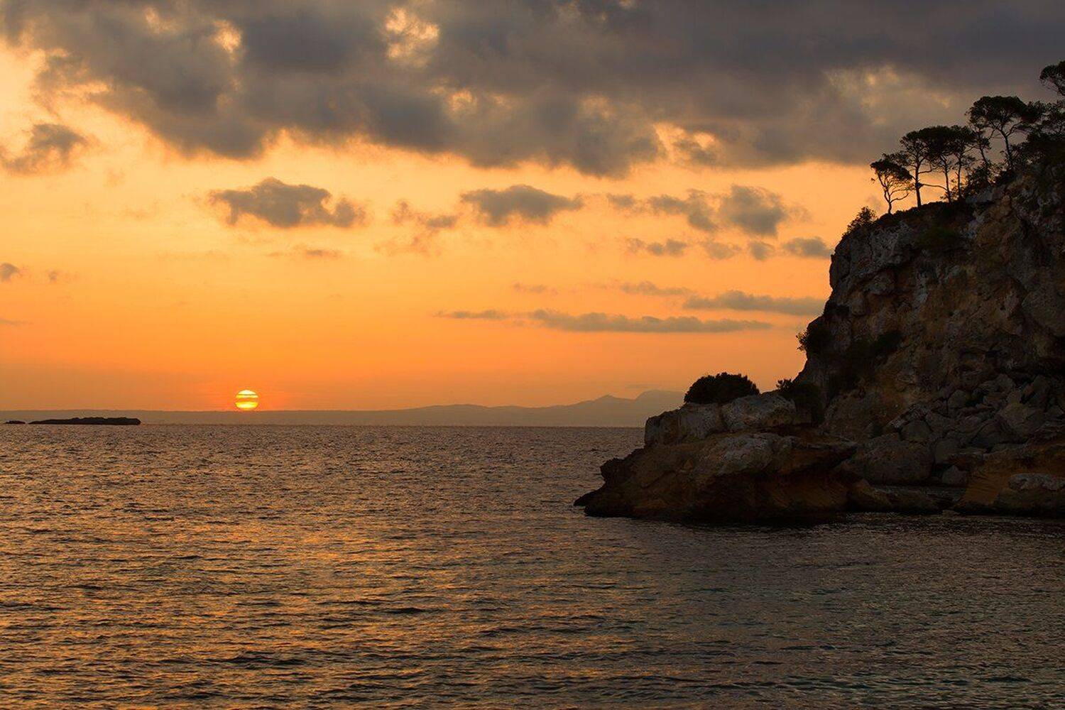 , Игорь Дубровский