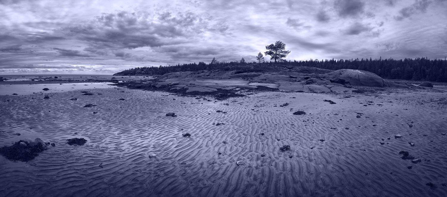 Белое море, Кольский полуостров, Отлив, Марина Никифорова