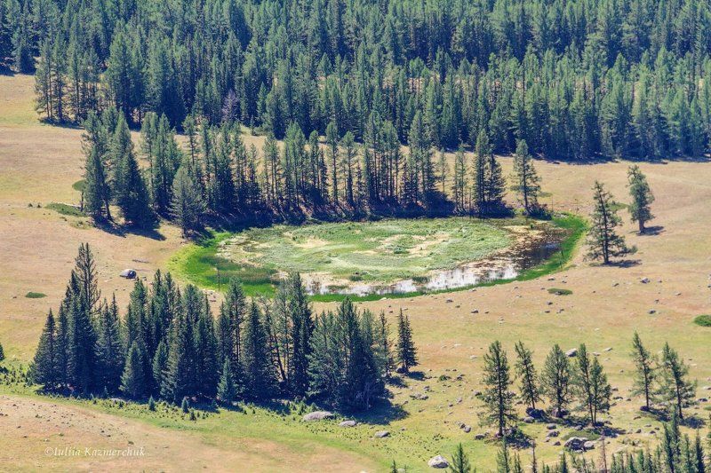 степь, горы, алтай, самаха, тайга, закат, облака, лиственница, река, аргут Безмолвие фото превью