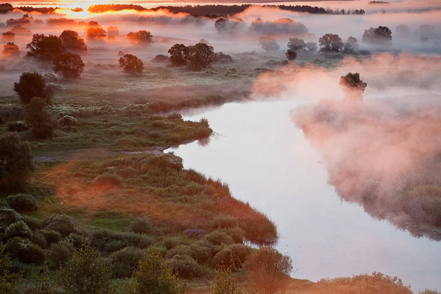 , Юрий Сорокин