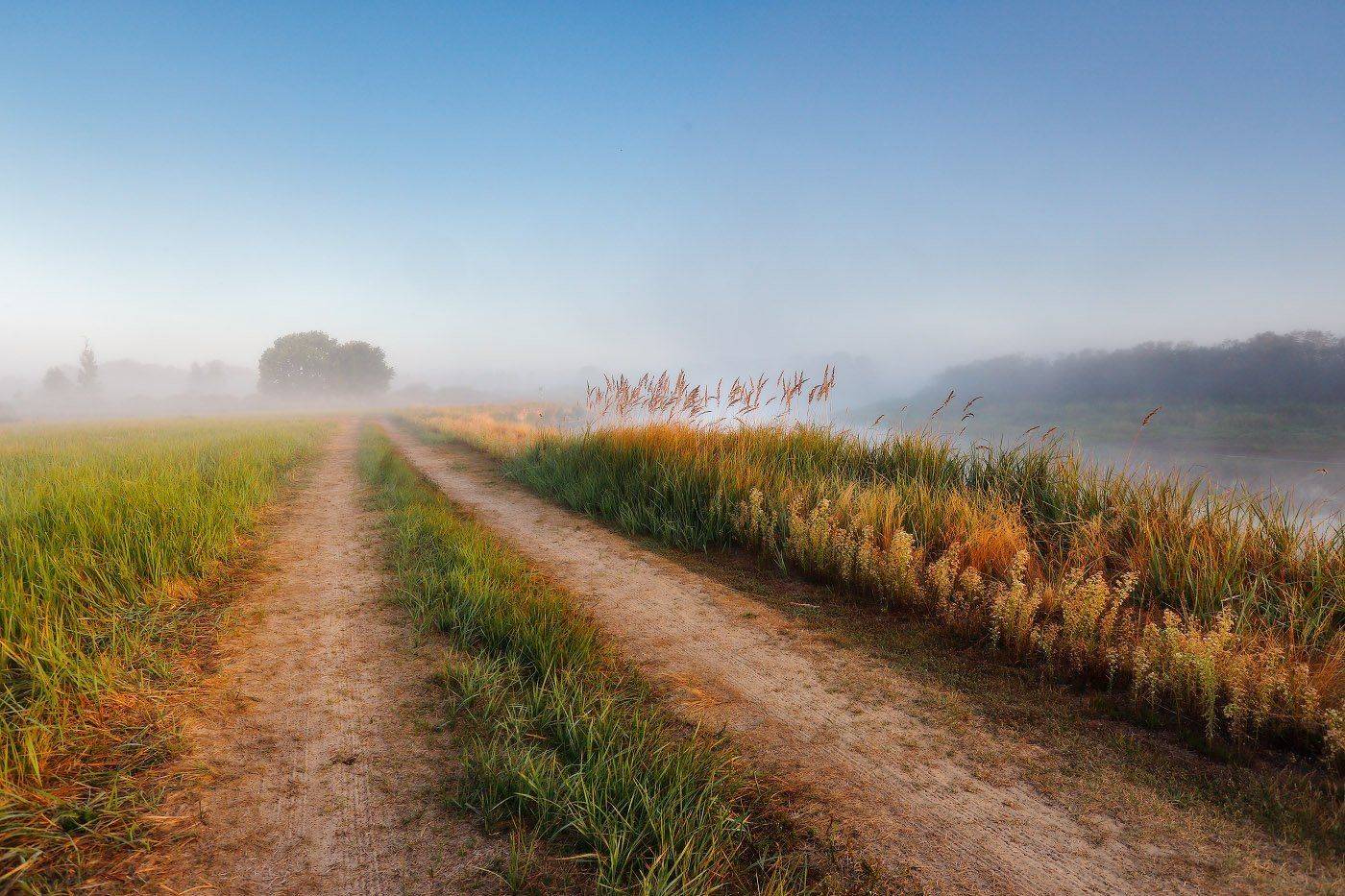 Август, Беларусь, Березина, Лето, Рассвет, Туман, Утро, Вейзе Максим