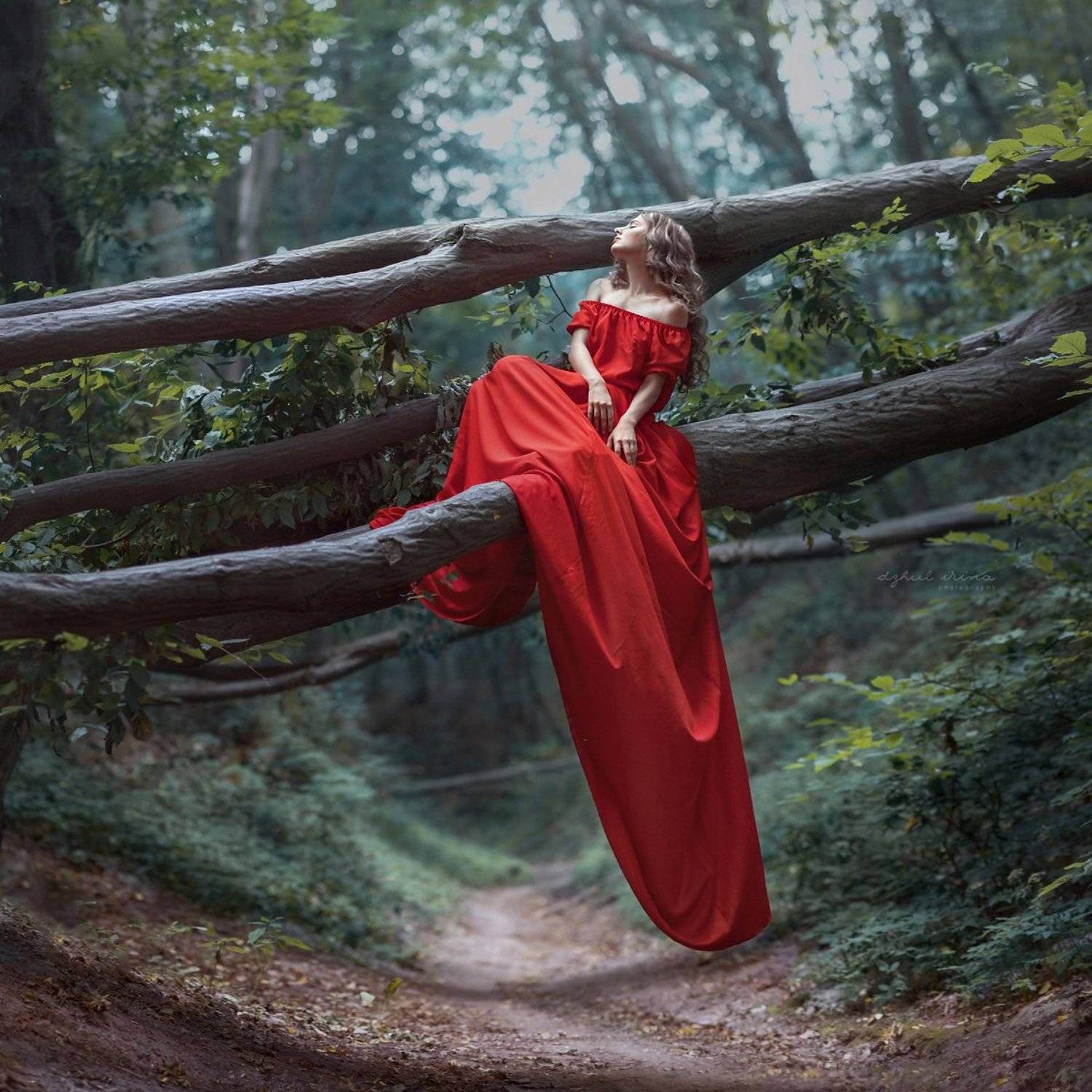 Canon, Canon 5D Mark III, Dream, Dress, Dzhul irina, Girl, Irinadzhul, People, Photo, Photography, Photoshop, Popular, Portrait, Red, Trees, Ирина Джуль