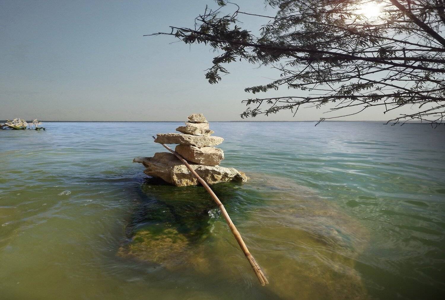 одесса, Сергей Кошелев