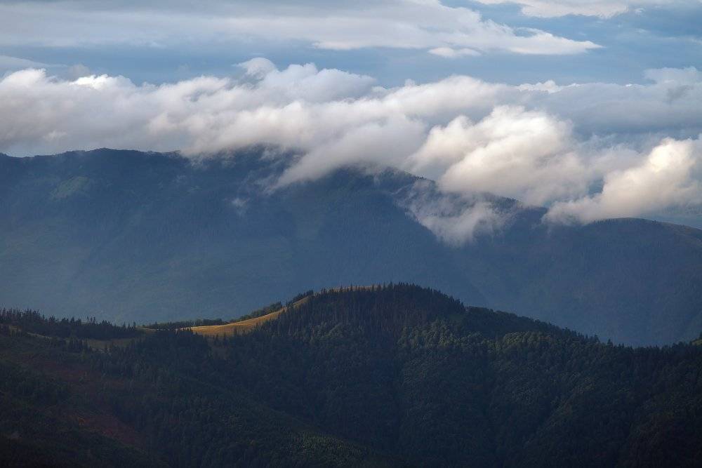 , Ярослав Тюрменко (Jaremi)