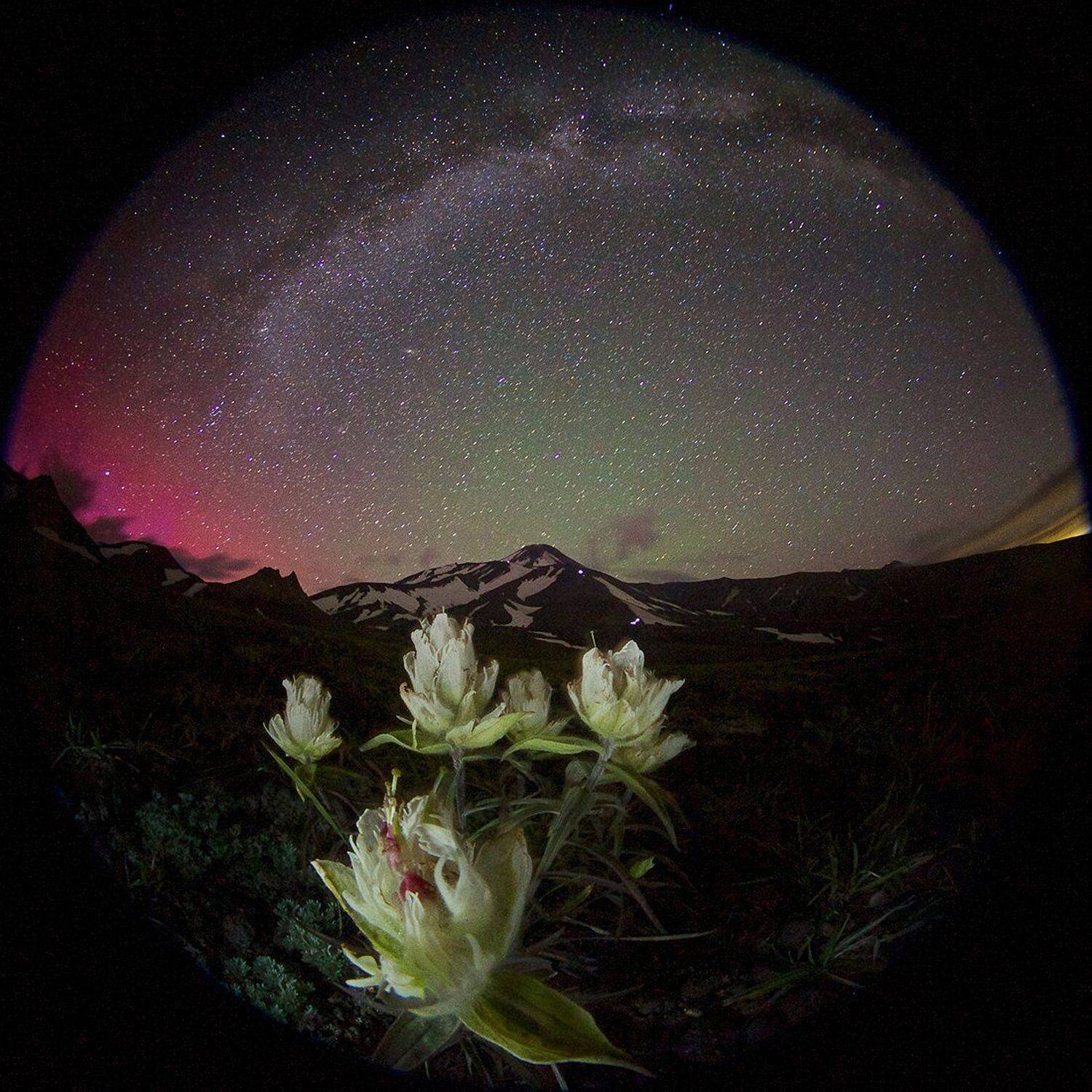 авачинский вулкан, звезды, камчатка, млечный путь, ночь, полярное сияние, Никифоров Егор