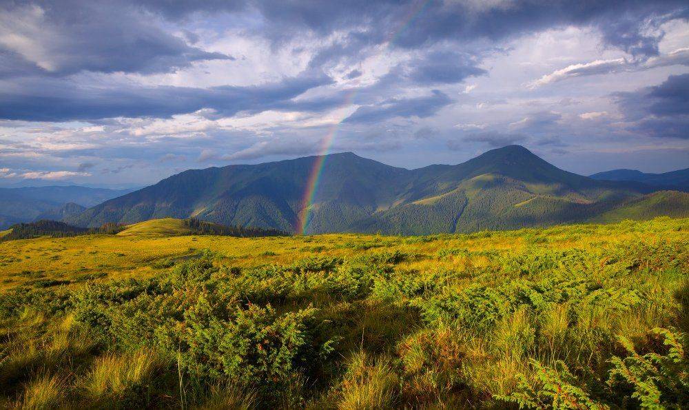 , Ярослав Тюрменко (Jaremi)