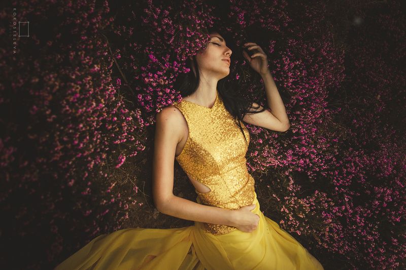 Портфолио фото превью