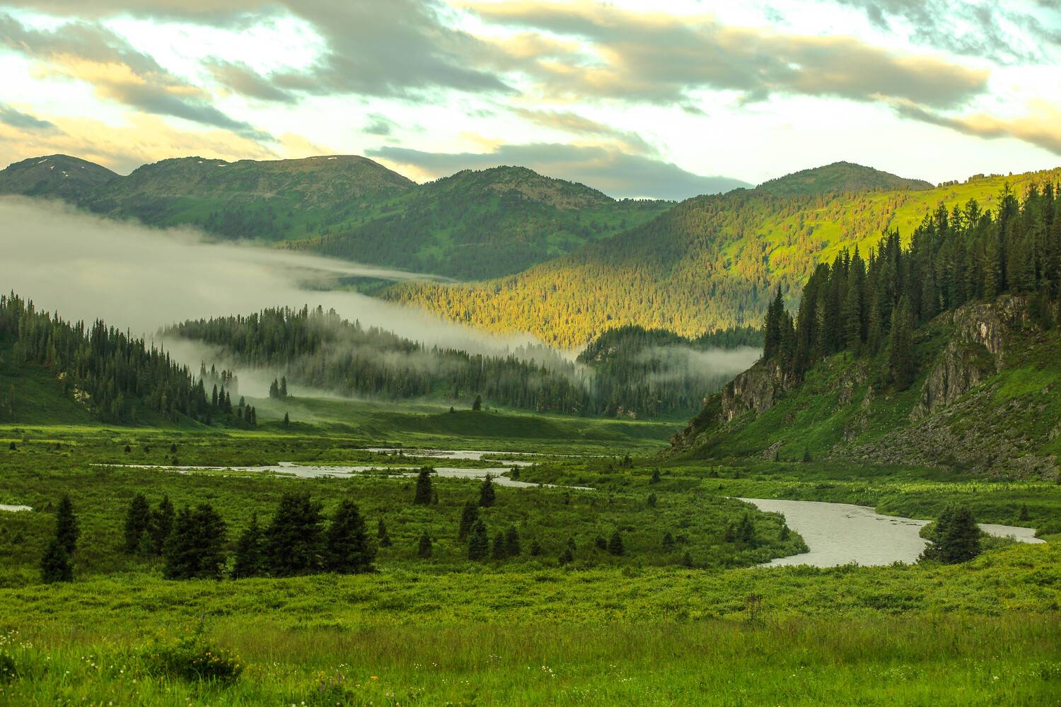 , Jorik(Jungkuk, Cho)