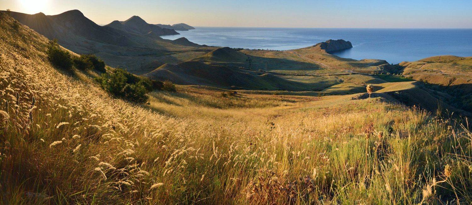 , Маркович Михаил