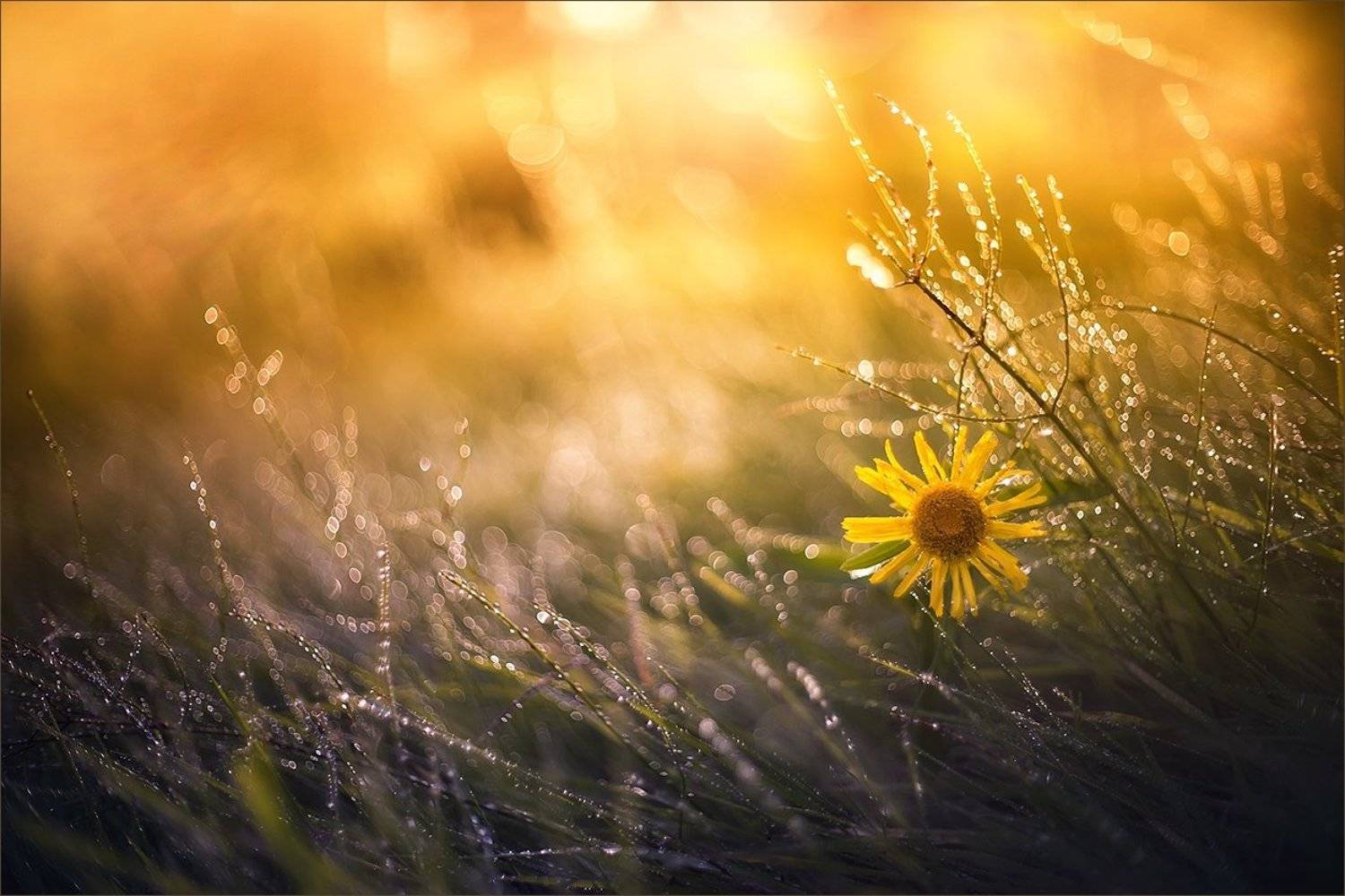 , Суханов Дмитрий