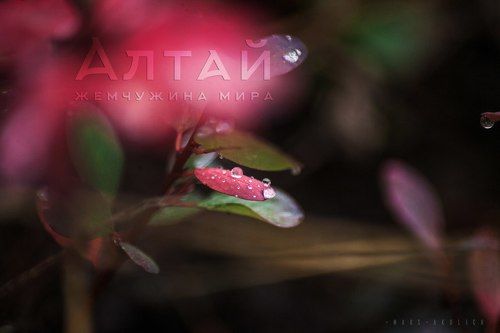 Осенний Алтай.