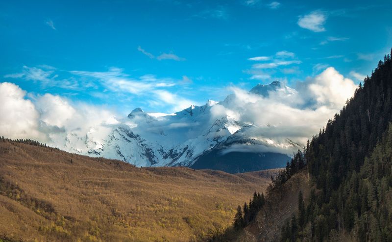 Сборник из Грузии фото превью
