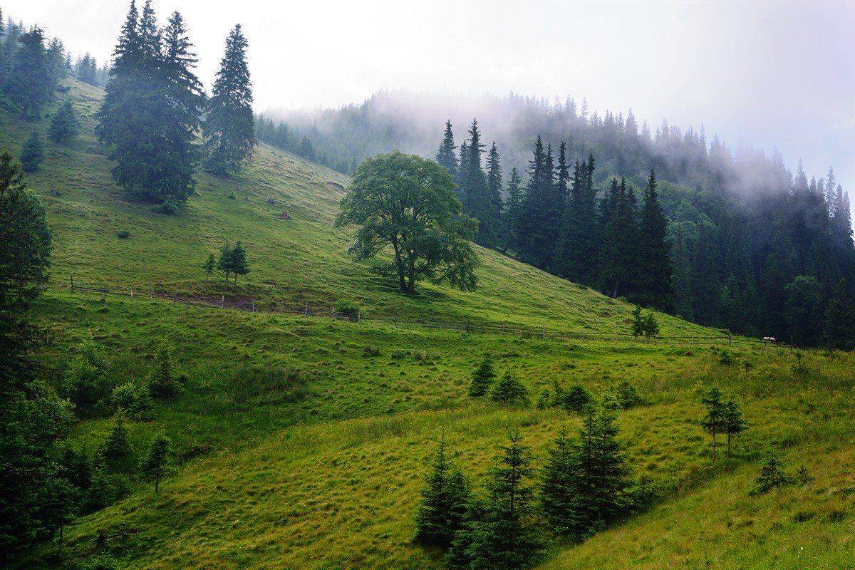 , Виталий Ра