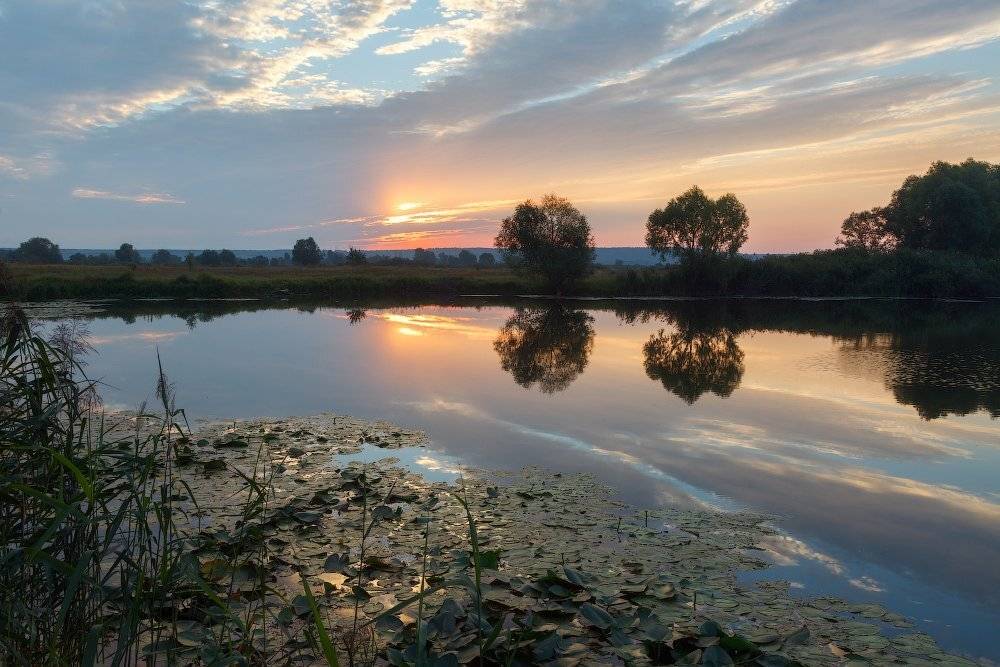 , Ярослав Тюрменко (Jaremi)