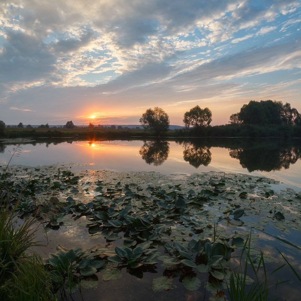 , Ярослав Тюрменко (Jaremi)