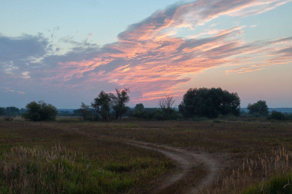 , Ярослав Тюрменко (Jaremi)