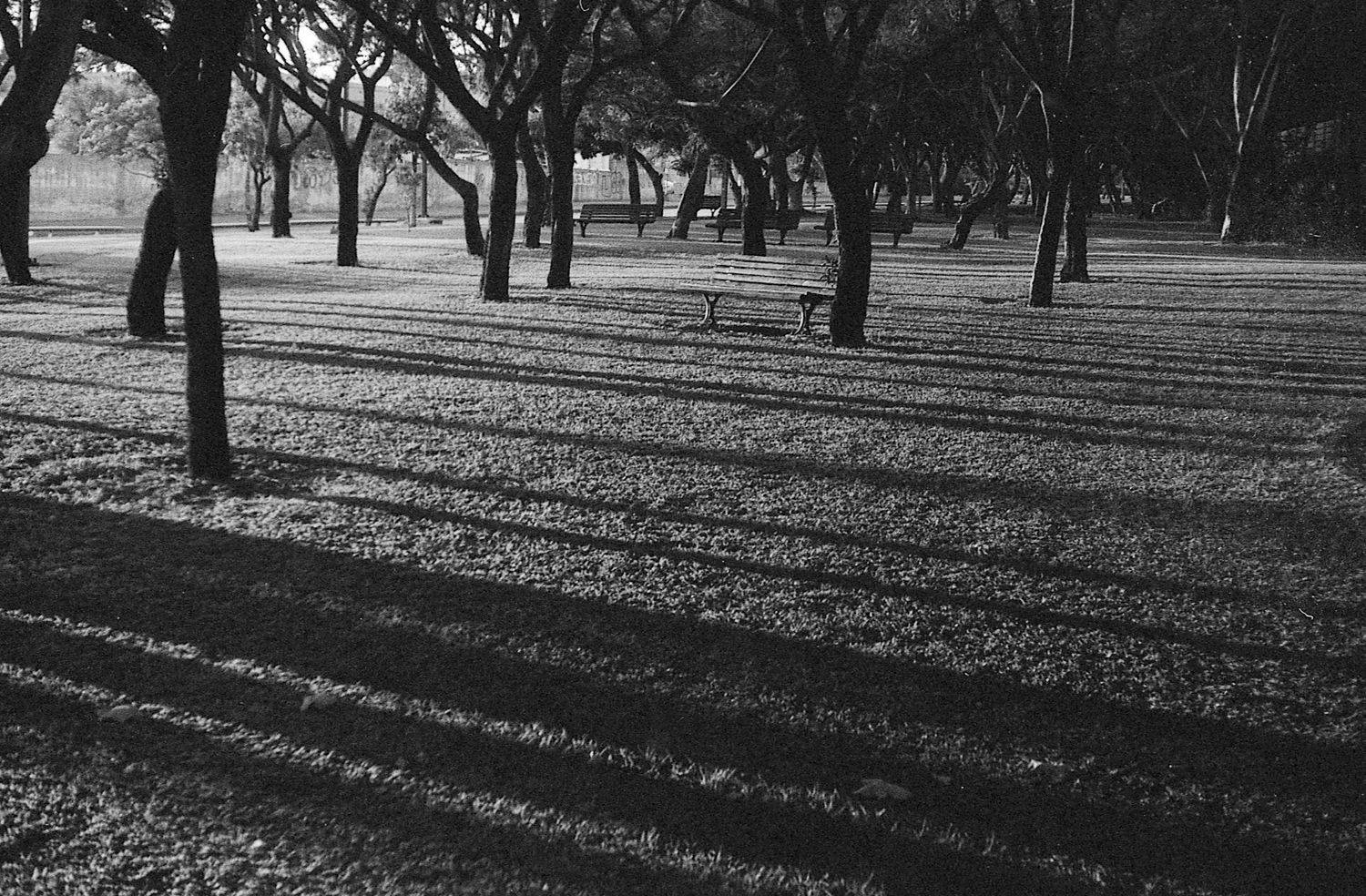 flim, fomapan, zorki, bw, blackandwhite, Иван Денисенко