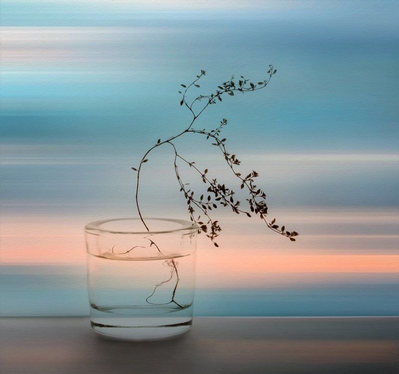 *** фото превью