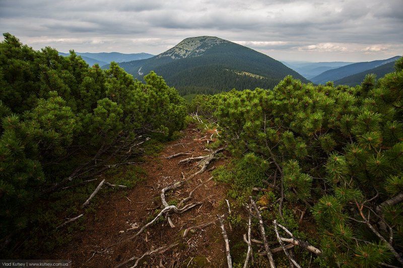 гора, горы, грофа, карпаты, украина г. Грофа фото превью