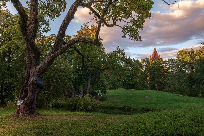 про тихий вечер у Шапели... фото превью
