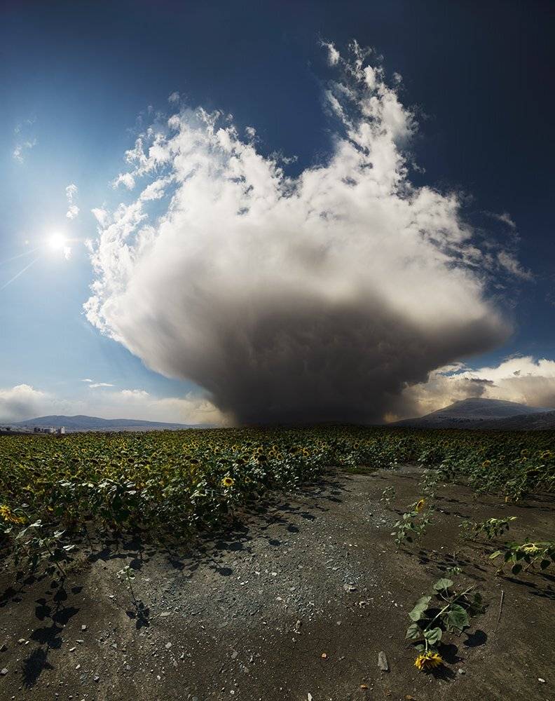 , Дeнис Бoдрoв