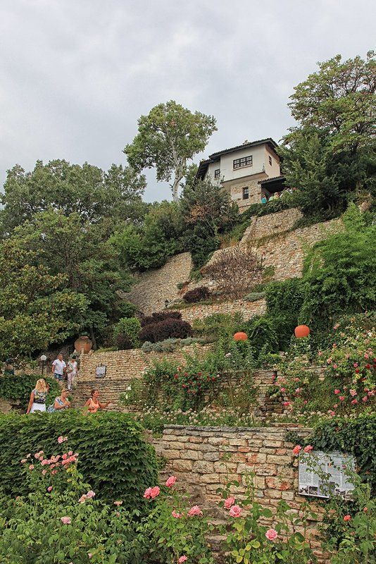 Домик виноделов фото превью