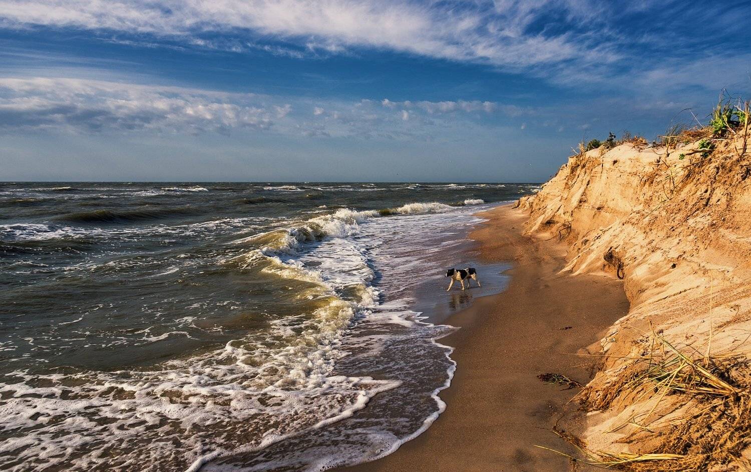 , Игорь Мелекесцев