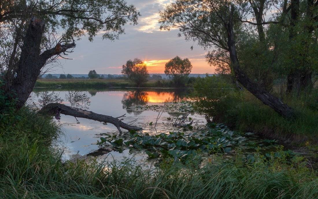 , Ярослав Тюрменко (Jaremi)